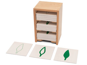 Botaniekaarten inclusief kastje Botaniekaarten inclusief kastje