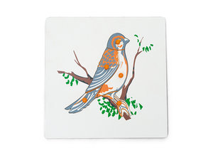 Dierenpuzzel vogel Dierenpuzzel vogel