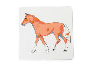 Dierenpuzzel paard Dierenpuzzel paard