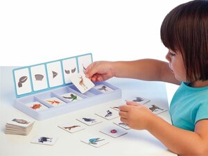 Dierlijke kenmerken. Sorteerkit Dierlijke kenmerken. Sorteerkit