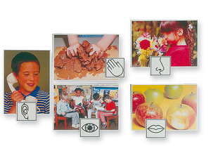 Spel met 5 zintuigen Spel met 5 zintuigen