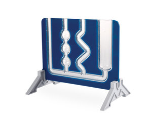 Schaaltjes voor de presentatie van het capillaire effect