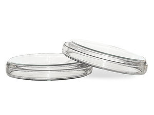 Petrischaal 50 x 12 mm