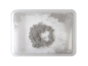 Rechthoek van magnetische experimenten