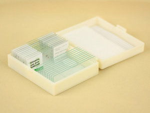 Gezonde menselijke weefsels. EN