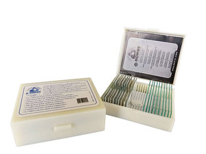 Cross-sectionele biologie