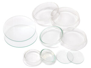 Petrischaal 90 x 15 mm