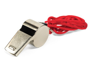 Scheidsrechtersfluit