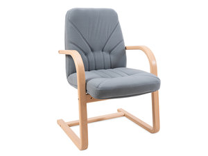 Fauteuil op sleden. Grijs