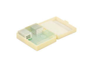 Protisten en protozoa. 