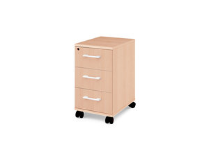ProDesk - Archiefkastje beuken