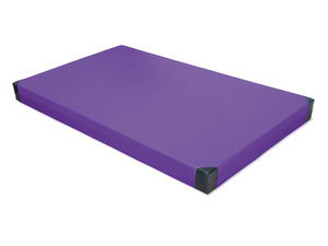 Sportmat 200 x 120 x 20 cm met verstevigde hoeken