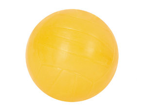 Volleybal