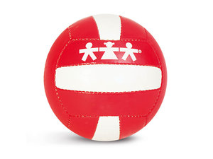 Volleybal  Basic 4