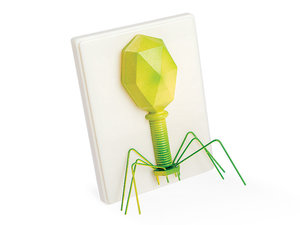 Bacteriofaag. Virus-model