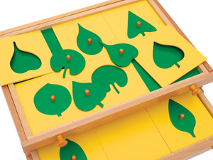 Botaniekast Botaniekast