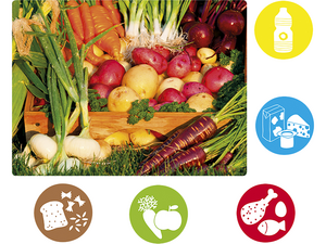 Gezond eten. Educatief spel. Gezond eten. Educatief spel.