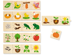 Cyclus puzzel - planten en dieren Cyclus puzzel - planten en dieren