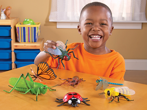 Jumbo insecten Jumbo insecten