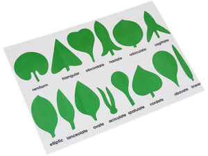 Botanie controlekaart bladeren Botanie controlekaart bladeren