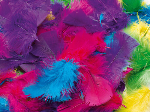 Zak met veertjes