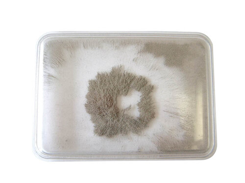 Rechthoek van magnetische experimenten