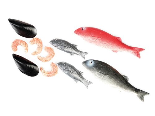 Levensechte vis en zeevruchten