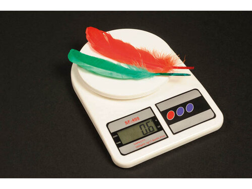 Elektronische weegschaal