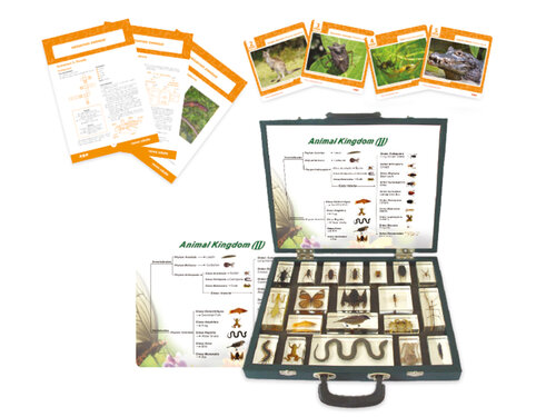 Leermiddelenkoffer dierenrijk