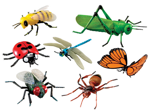 Jumbo insecten Jumbo insecten