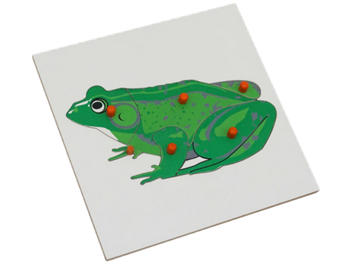 Dierenpuzzel kikker Dierenpuzzel kikker