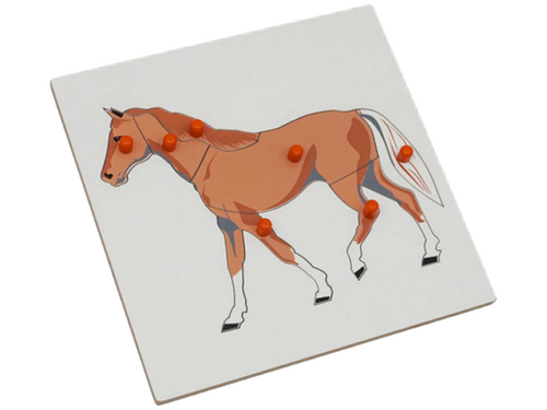 Dierenpuzzel paard Dierenpuzzel paard