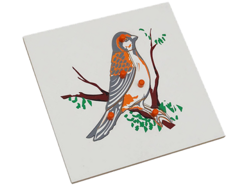 Dierenpuzzel vogel Dierenpuzzel vogel